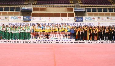 Grupos y composición del CESA 2019