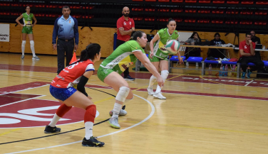 Minis de Arluy VB Logroño vence el derby riojano