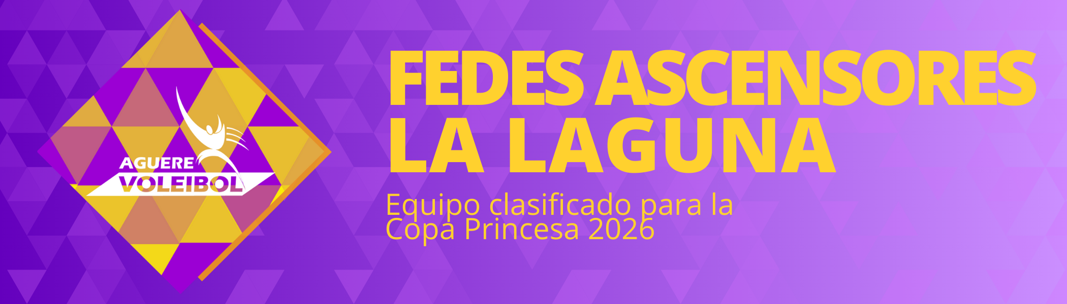 Fedes Ascensores La Laguna